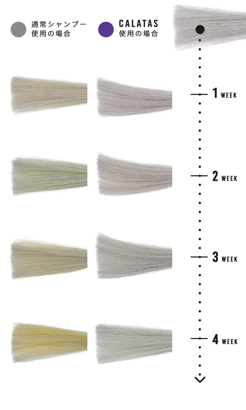 CALATAS｜カラタスシャンプー Pr