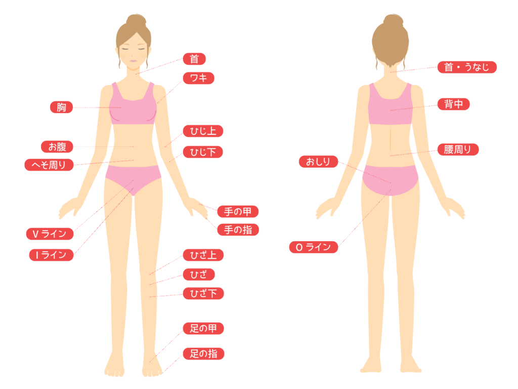 部位別｜脱毛の痛みの違い